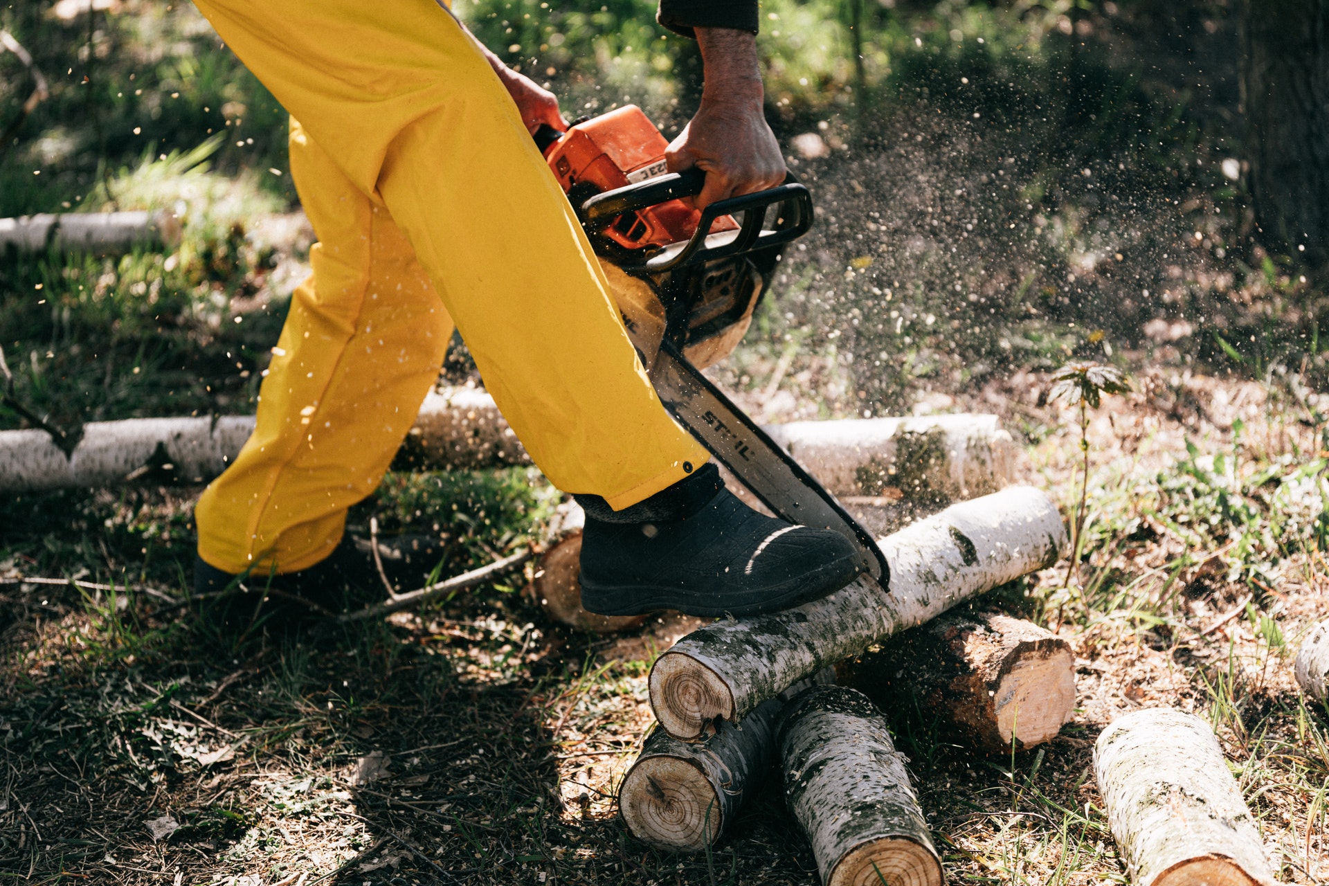 Imagen del curso de Maquinaria Forestal y Jardinería